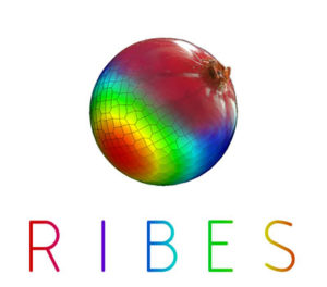 RIBES logo